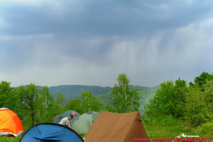 SL377696.JPG