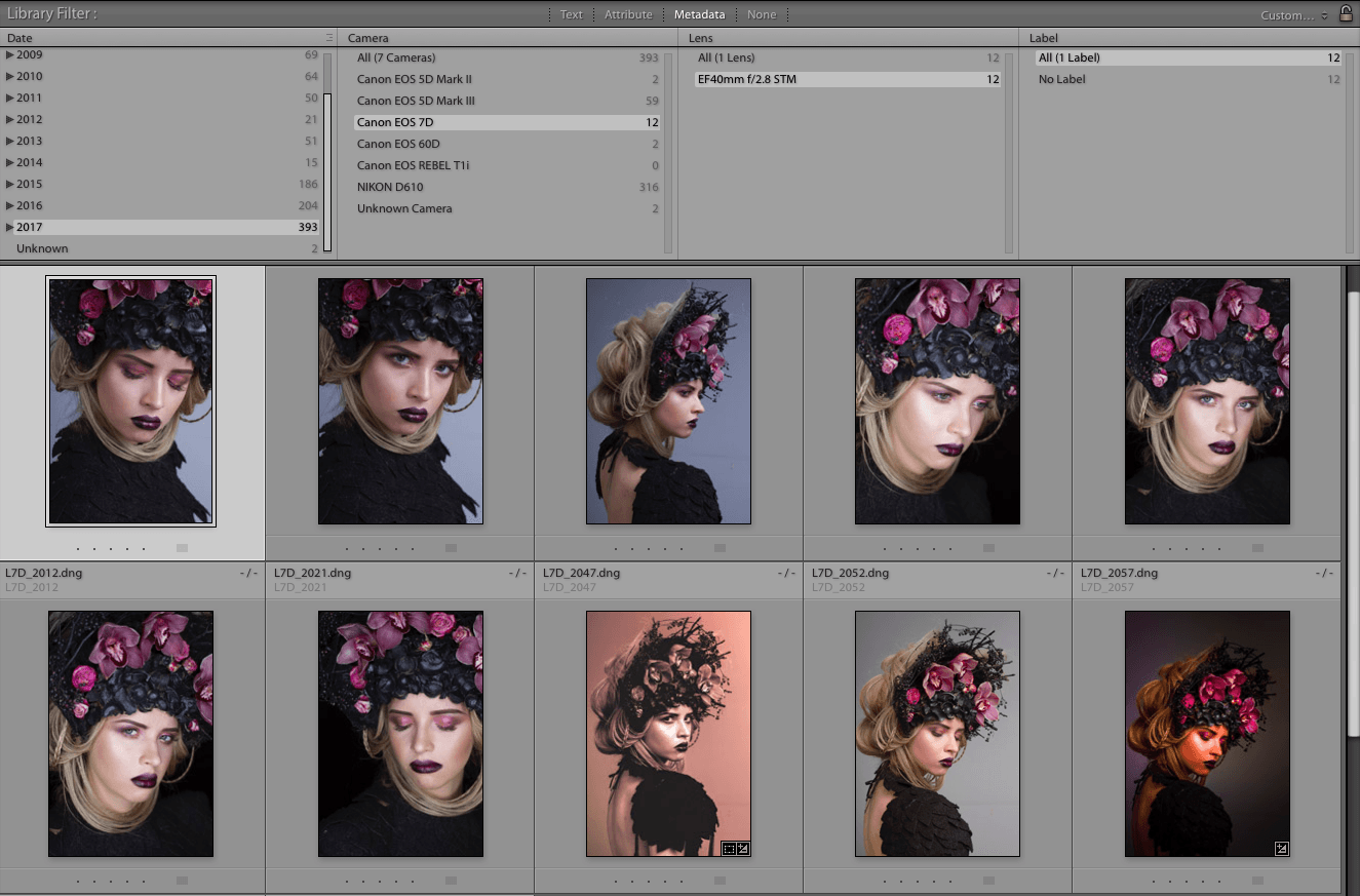 biblioteca lightroom
