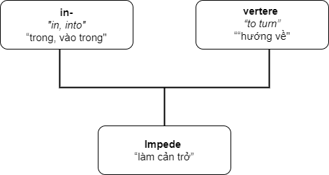 image-alt