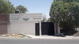 Centro Canino Municipal Arequipa
