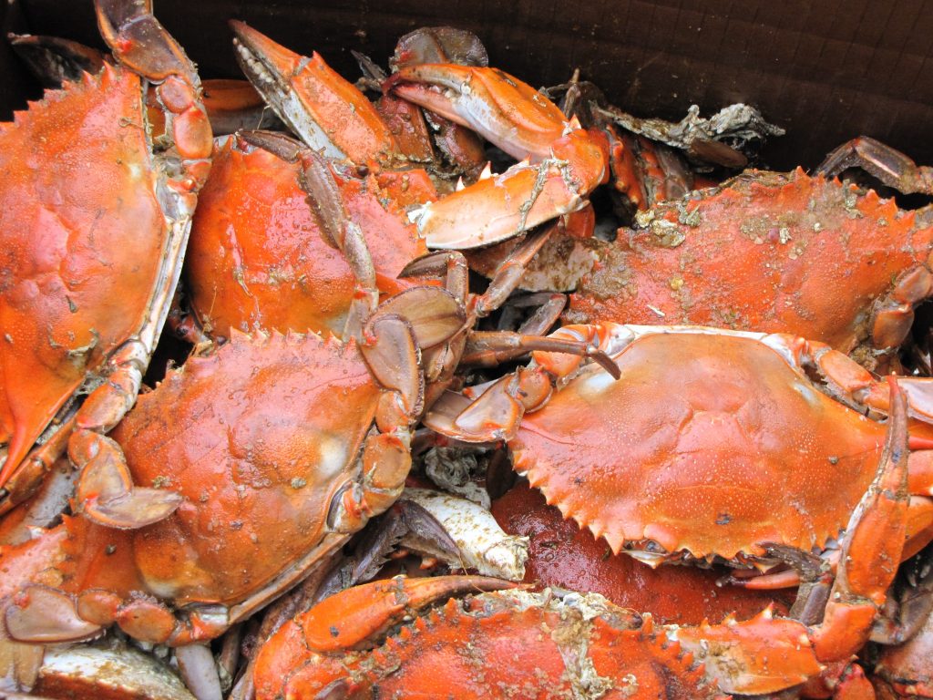 Crab And Belly, restaurants in subic, where to eat in subic, subic restaurants
