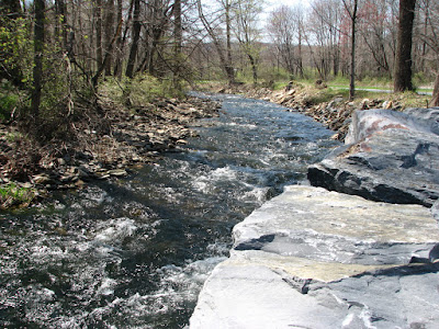 Owens Creek under Roddy Road Covered Bridge