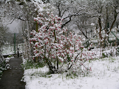 osterwinter