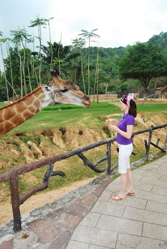 Зоопарк в Тайланде 