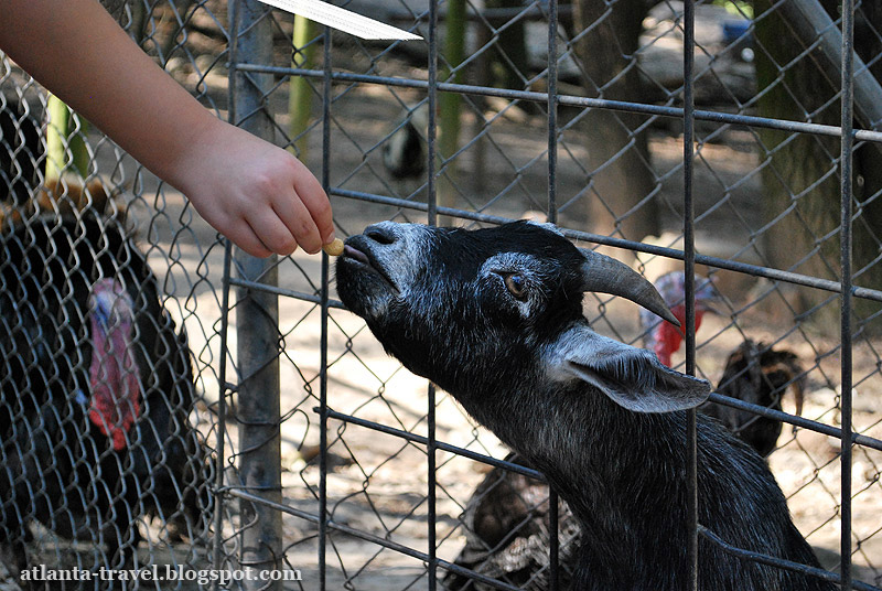 Yellow River Game Ranch: Покормить животных с рук