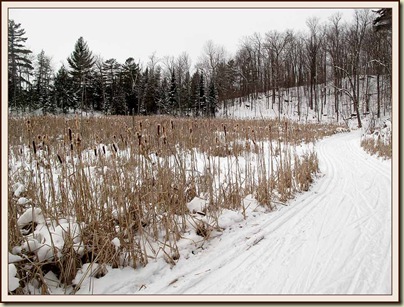 Trail 36 near Lac Meech