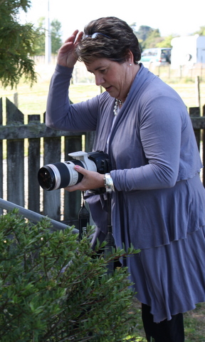 Judy Wagg