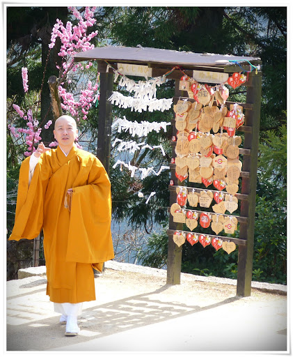 Miyajima: ciervos sagrados y pequeños cabezones. - Japón es mucho más que Tokyo (12)