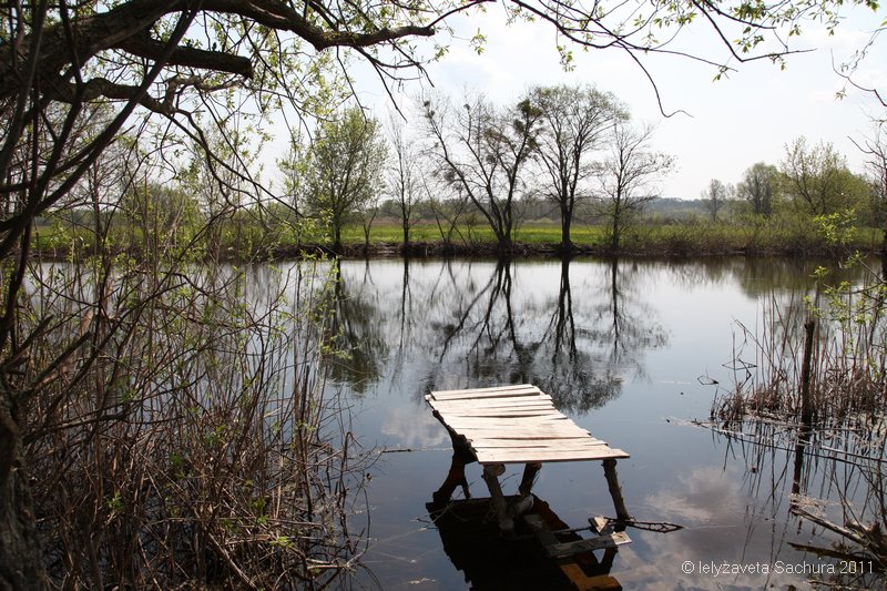 Україна. Весняна вода