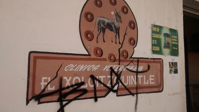 Clinica Veterinaria El Xoloitzcuintle
