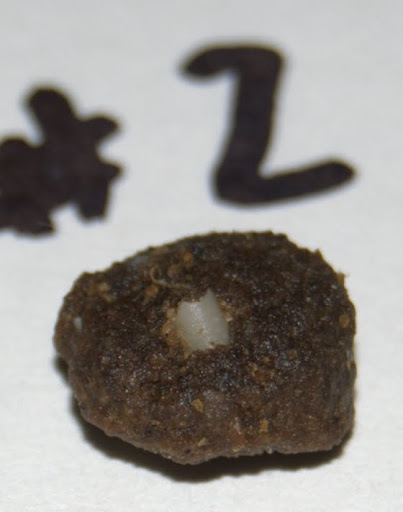 Bone in Rabbit Kibble