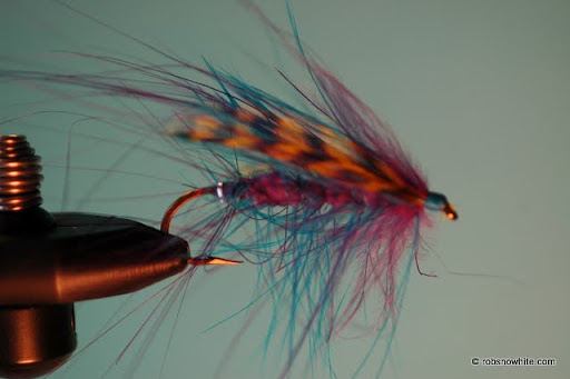 salmon spey