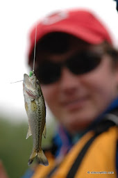 tiny bass