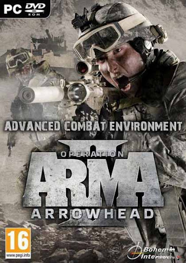 ARMA II: Advanced Combat Environment 2 (2011/MULTI2/ADDON)