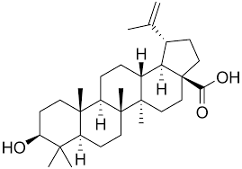 Image result for Betulinic-acid