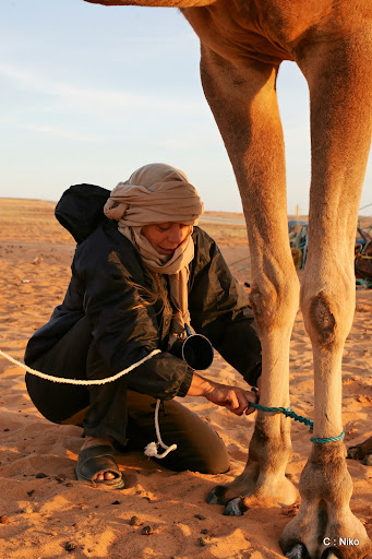 مشاهد من الصحراء والجمال JF6Y1548_DxO