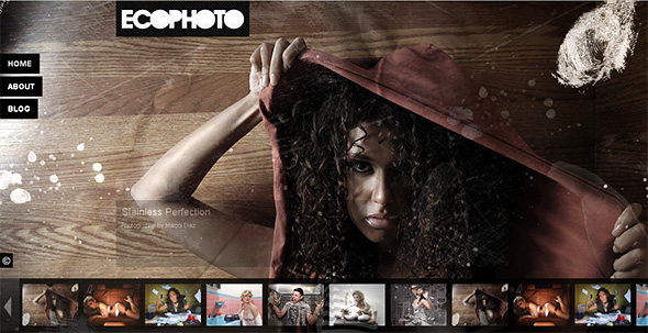 ecophoto wordpress theme