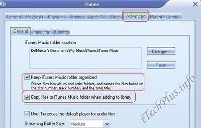 Đánh dấu vào tùy chọn Keep iTunes Music folder organized và Copy files to iTunes music folder when adding to libarary
