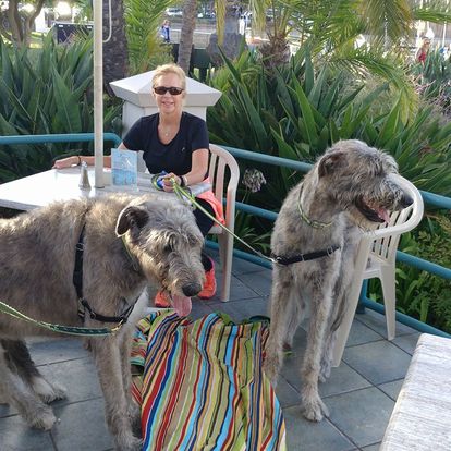Breakwater Restaurant -Dog-Friendly Restaurants in Santa Barbara