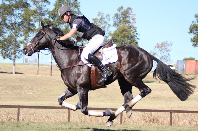 Clarke Johnstone and Orient Express, checking the time. Photo thanks to www.furdography.com.au