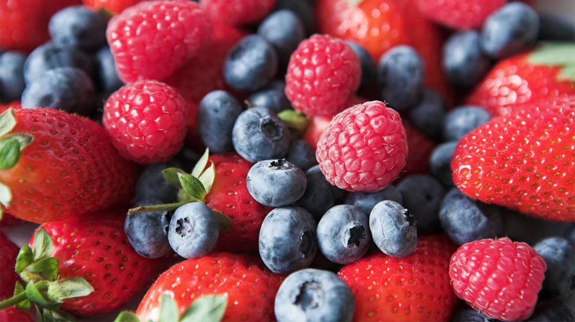 Berries for Alzheimer great health