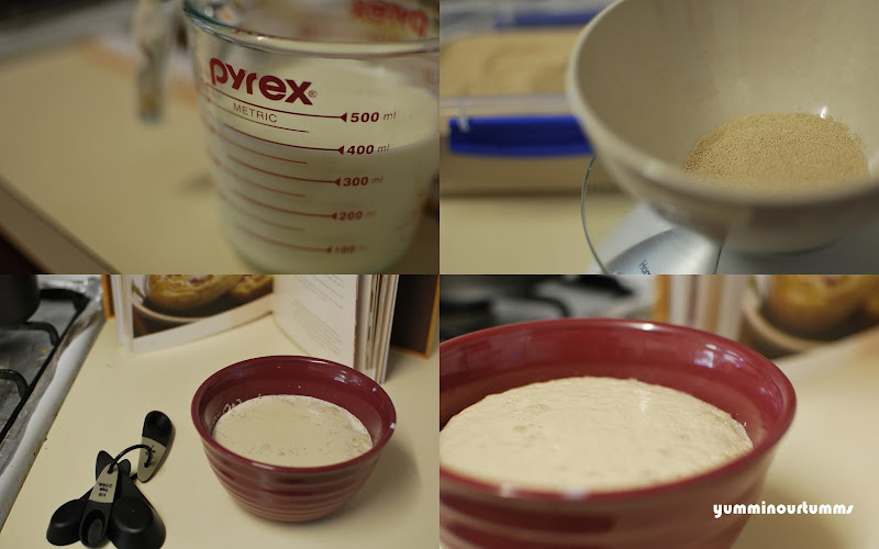Dry-yeast yeast-mixture milk sugar