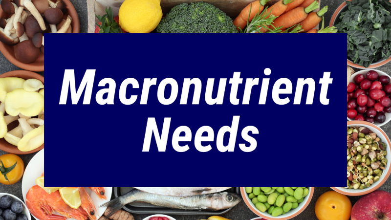 Understanding Macronutrient Needs