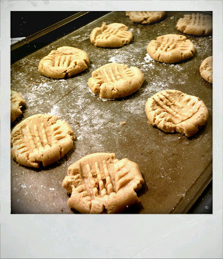 Peanut butter chocolate chip cookies
