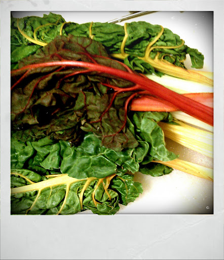 Swiss Chard