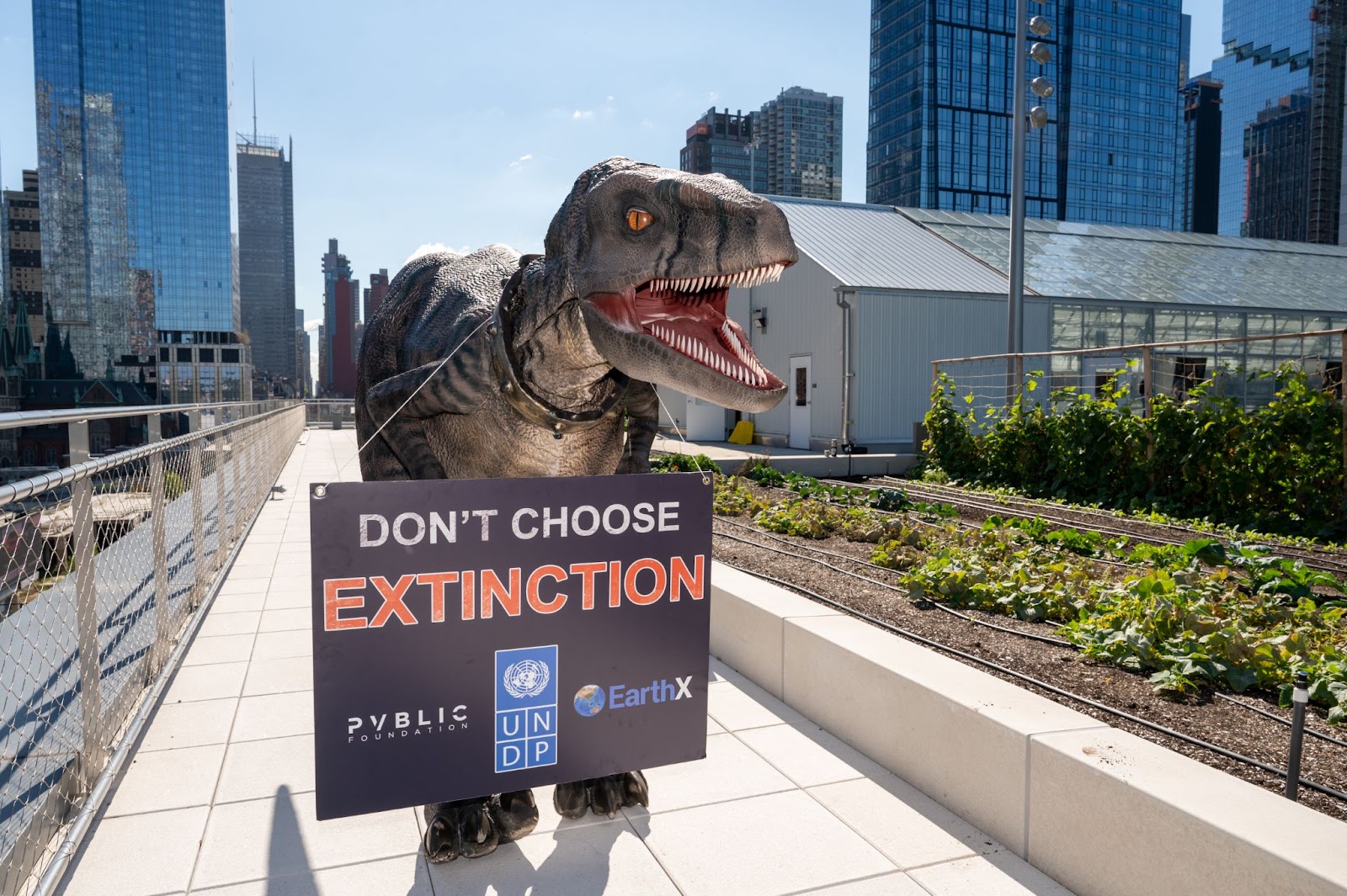 Frankie the UNDP Dino on the green roof