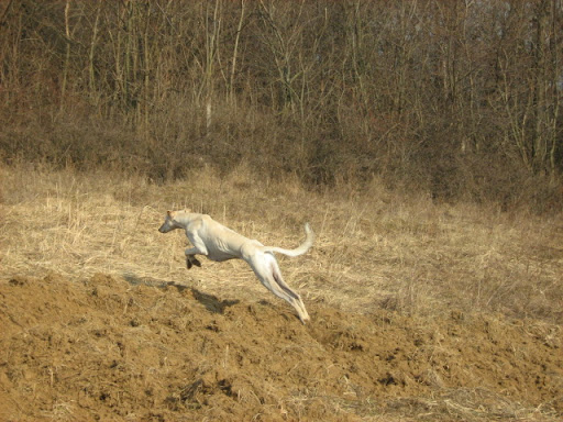 IMG_4170.JPG