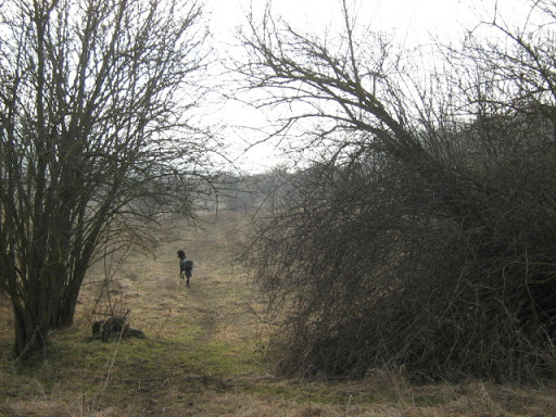 IMG_4208.JPG