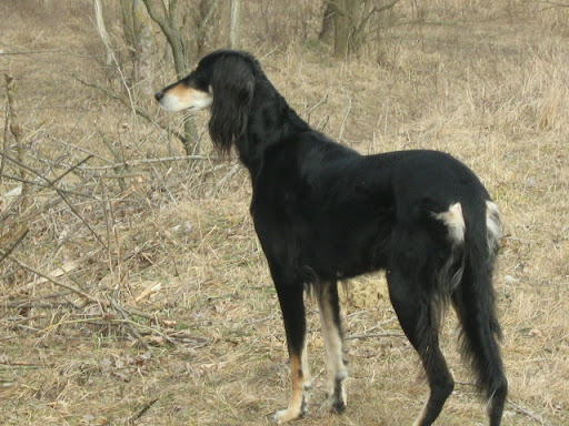 IMG_4248.JPG