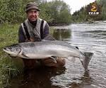 Image result for fish simon