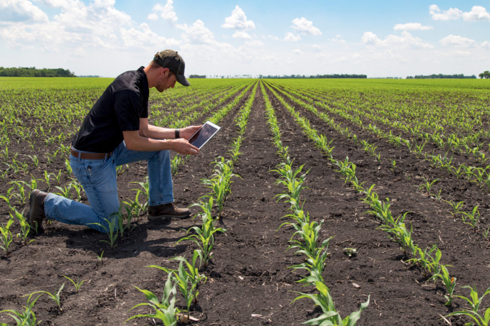 Agricultural Innovation #7: Regenerative Agriculture