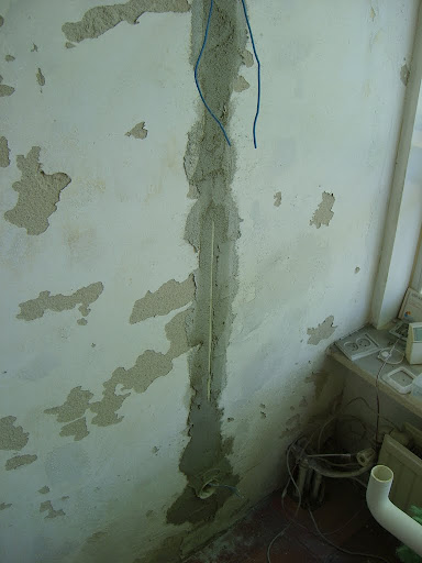 S6000167.JPG
