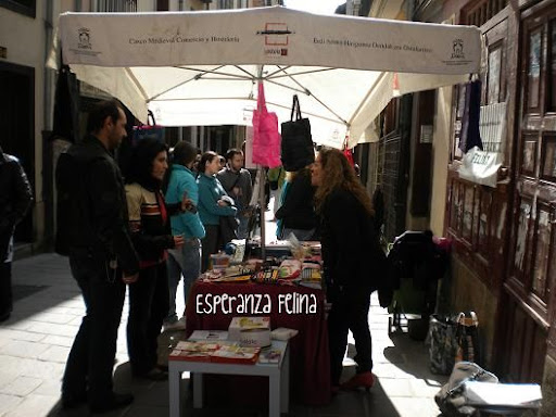 Esperanza Felina en "El Mercado de La Almendra" en Vitoria - Página 2 DSCN4278