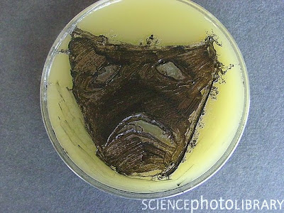 C0053402 Tragedy mask%2C microbial art SPL Seni melukis menggunakan mikroba