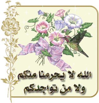 خياطة اكسسوارات المطبخ 29-Glitter-Arabic-www.ward2u.com