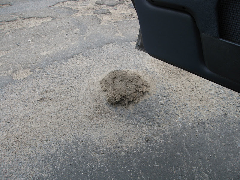 Автопутешествие на Соловки