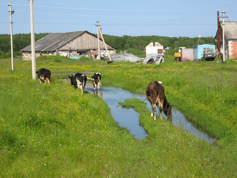 Автопутешествие на Соловки