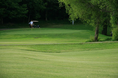 Golf courses in George are prefered by most professionals