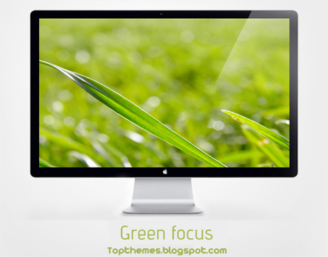 Green focus Wallpaper Green focus Wallpaper