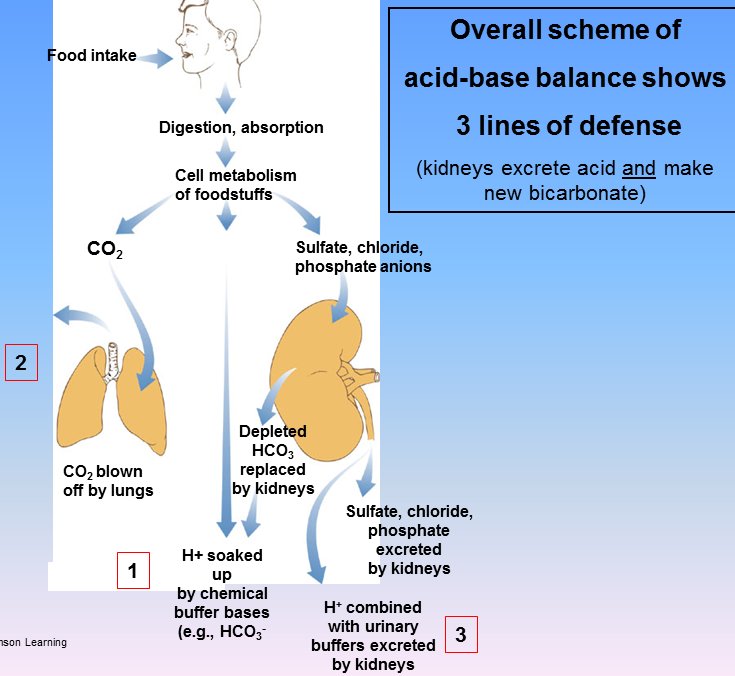 Slide1.jpg
