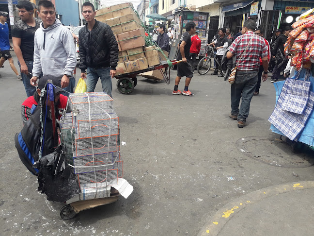 Ramle Car - Lima