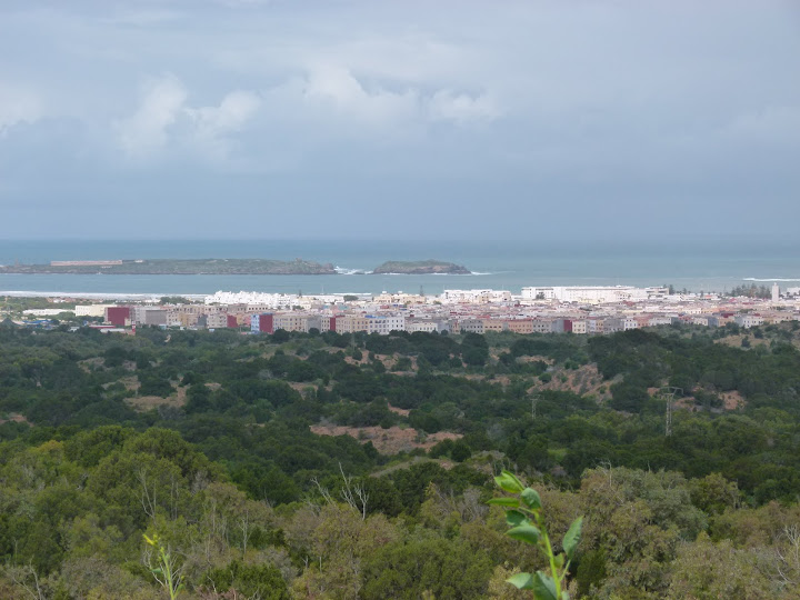 100% Morocco - Blogs de Marruecos - Visitando Essaouira y el Palmeral (10)