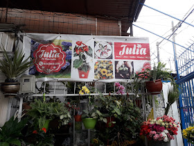 Julia