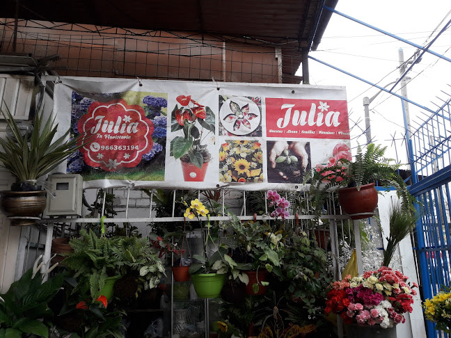 Julia
