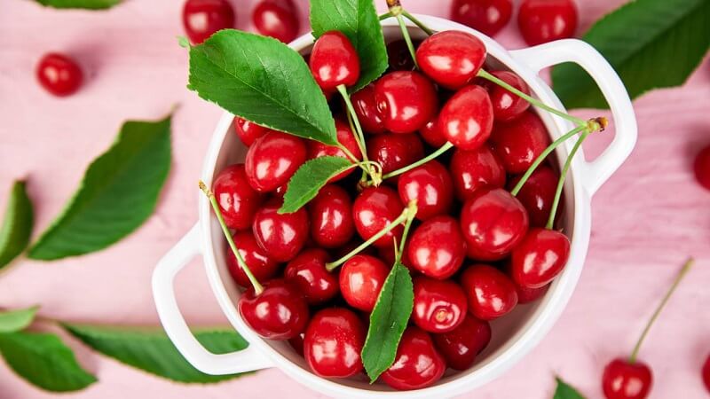 Cherry còn được xem như loại quả giúp điều trị bệnh gút