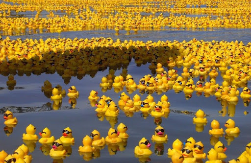 Rubber Duckies.jpg